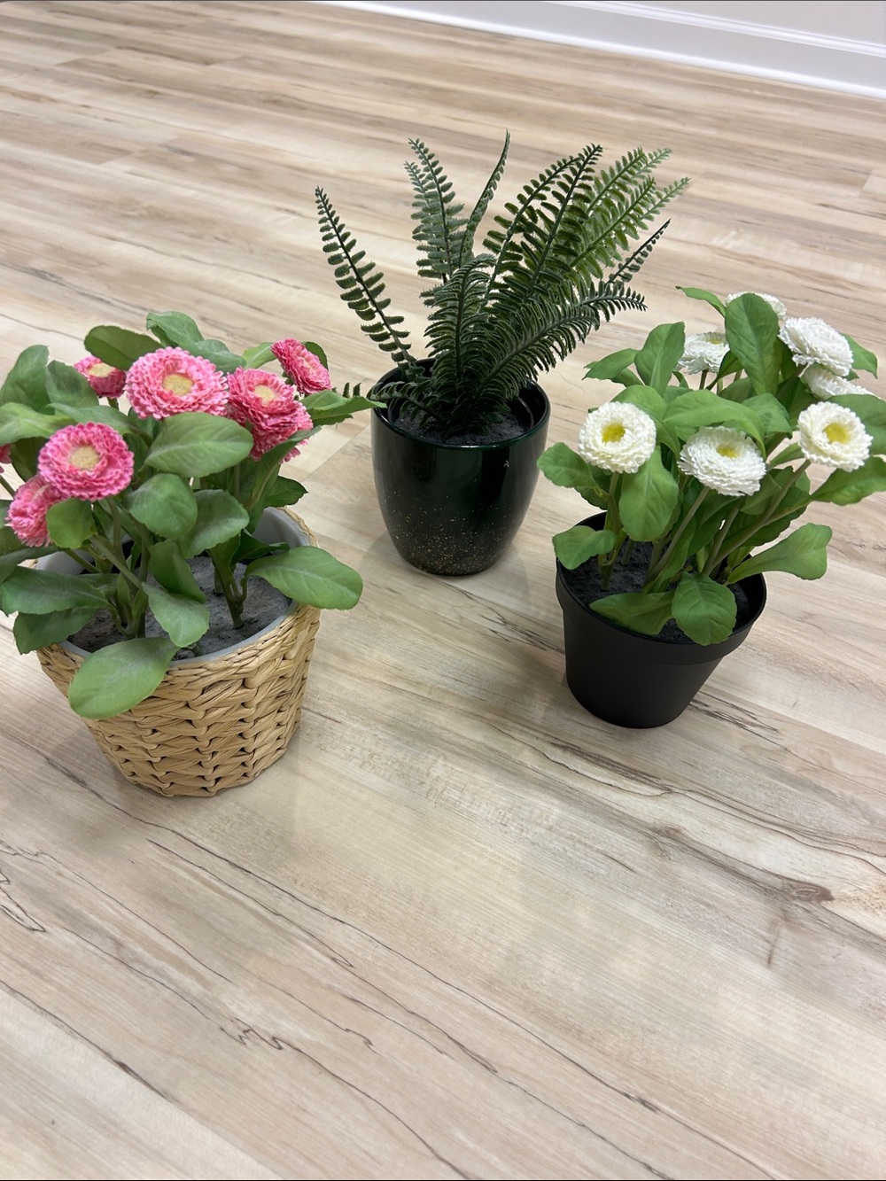Assorted Artificial Pink and White Daisy Potted Plant set